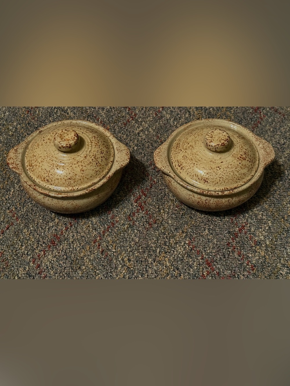 Vintage Monmouth Pottery Speckled Maple Leaf Western Soup Crocks with Lids Set 2